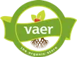 Retail Brand Logo